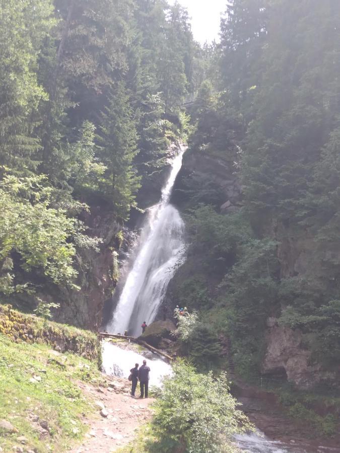 La Casa Di Grace Nella Valle Incantantata Carano  Buitenkant foto